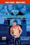 Fallen Angel